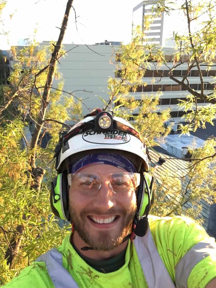 Careers Schneider Tree Care