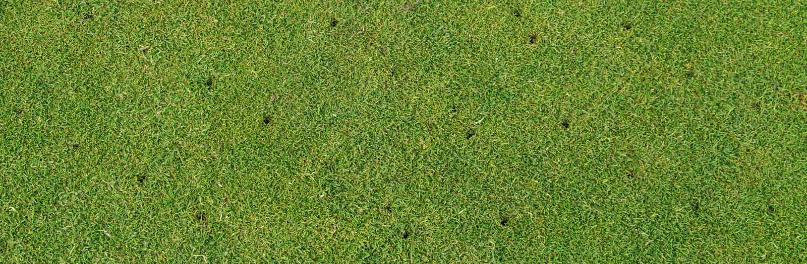 close view of an aerated lawn