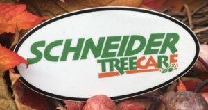 Schneider Tree Care sticker on top of colored leaves