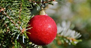 red Christmas ornament on tree