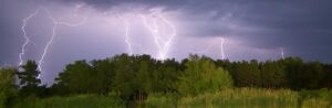 several lightning bolts striking a dense wood with lots of trees