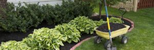 yellow wagon full of mulch in front of bed of shrubs