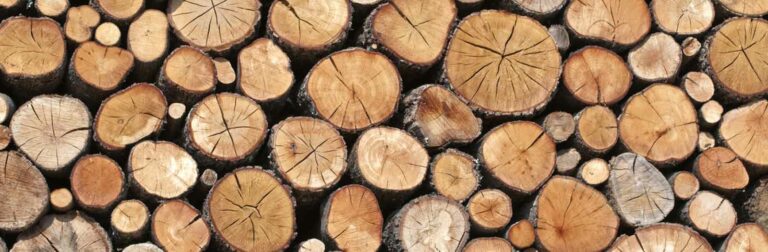 Log deadwood