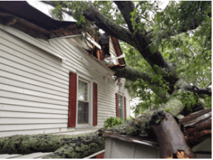 Tree Falling Dangerously on House