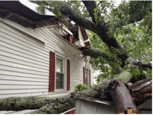 Tree falling dangerously on house