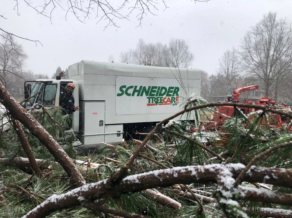 Tree Service in Simpsonville, SC | Risk Assessments & More