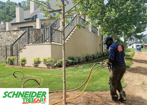 Tree trimming and health care