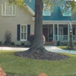 benefits of mulching trees