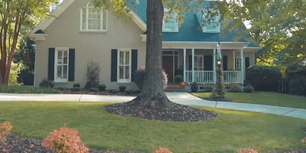 benefits of mulching trees