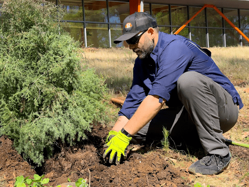 mulching