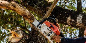 diy tree trimming